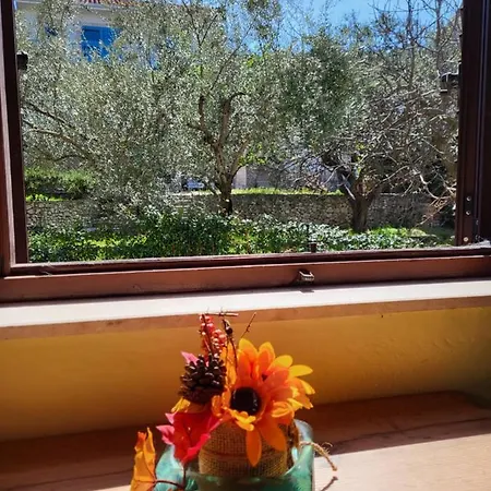 Apartment Lucky Star - 2 Bedroom, Sea View, Gated Yard, Free Parking, Bbq *