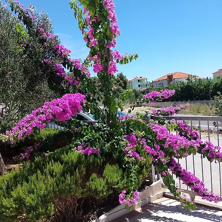 Lucky Star - 2 Bedroom, Sea View, Gated Yard, Free Parking, Bbq